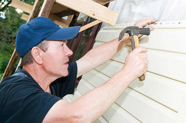 Best Wood Siding Installation  in Lena, IL