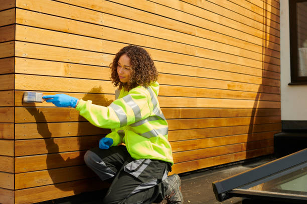 Best Composite Siding  in Lena, IL